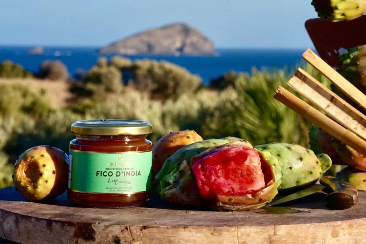 Casa Peppina Διαμέρισμα SantʼAntìoco
